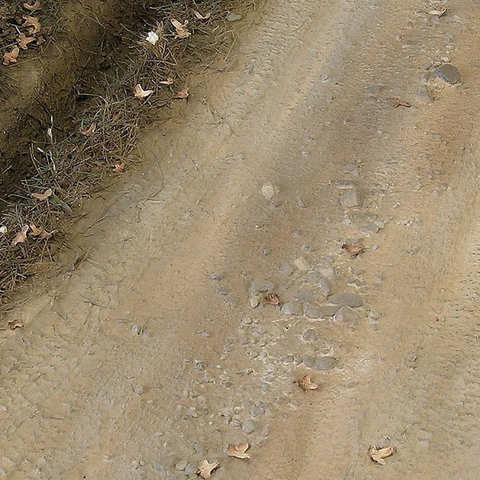 Terrains: Light Earth