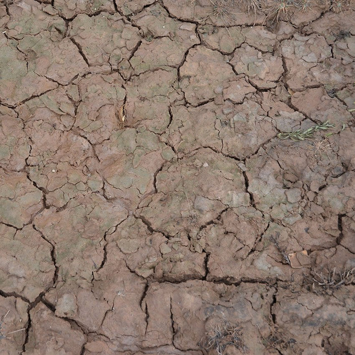 Crackle Effects: Wet