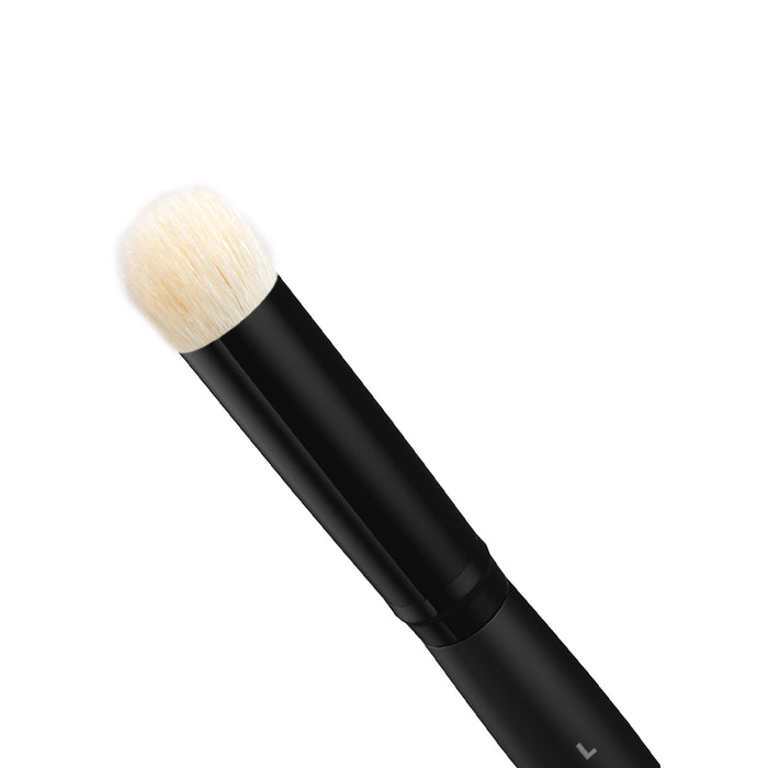 Dry Brushes Set