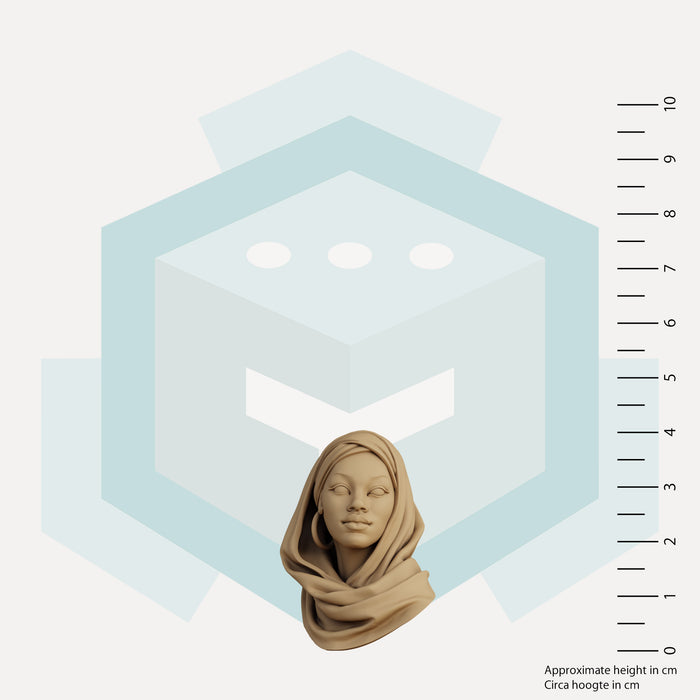 Zareen Kael - Academic