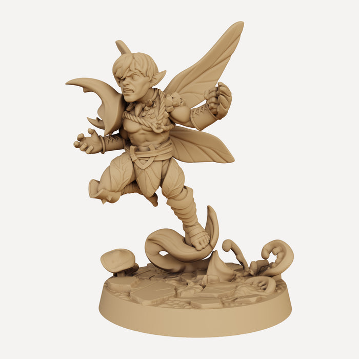 Evric the Pixie Fighter