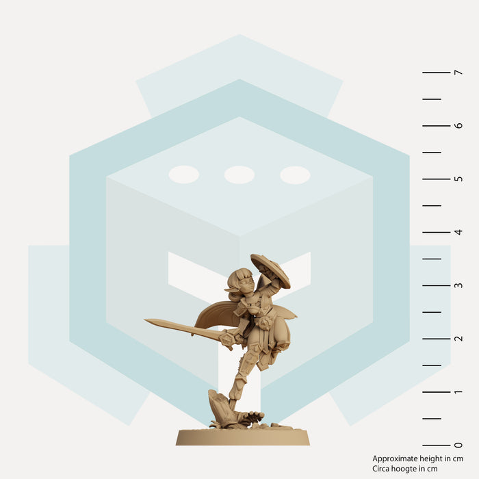 Velynn the Pixie Paladin