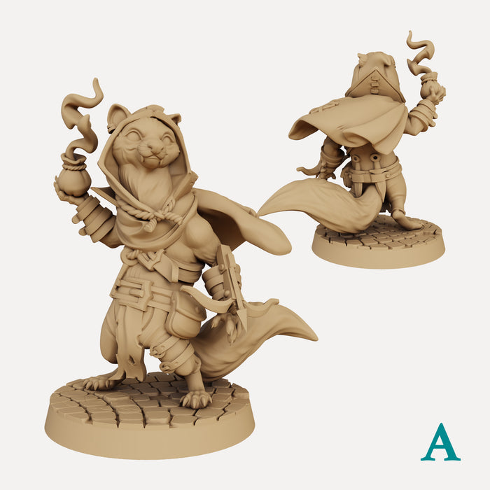 Natch the Ferret Rogue