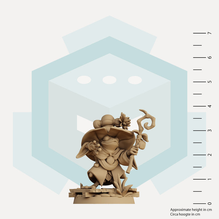 Zibbin the Frogfolk Wizard