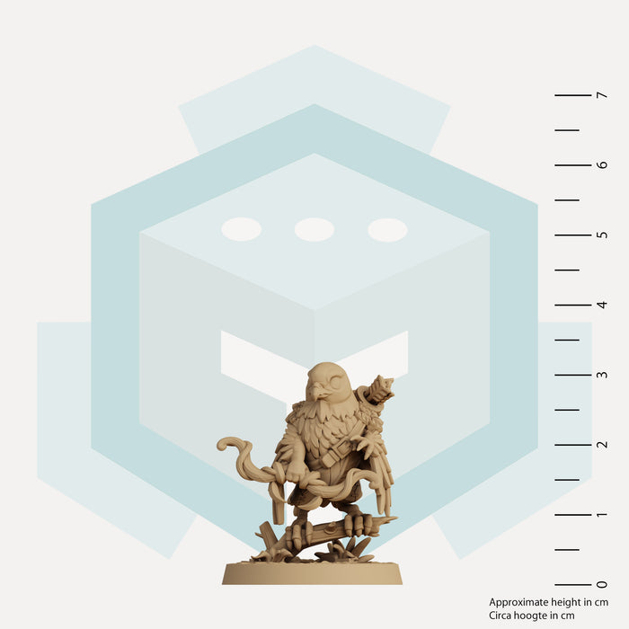 Aeryn the Hawkfolk Ranger