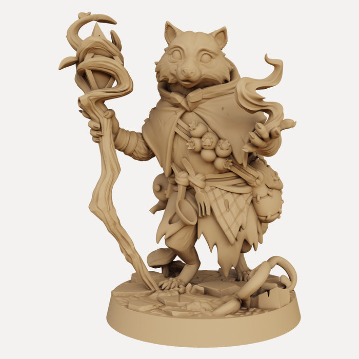 Elmwick the Raccoon Druid