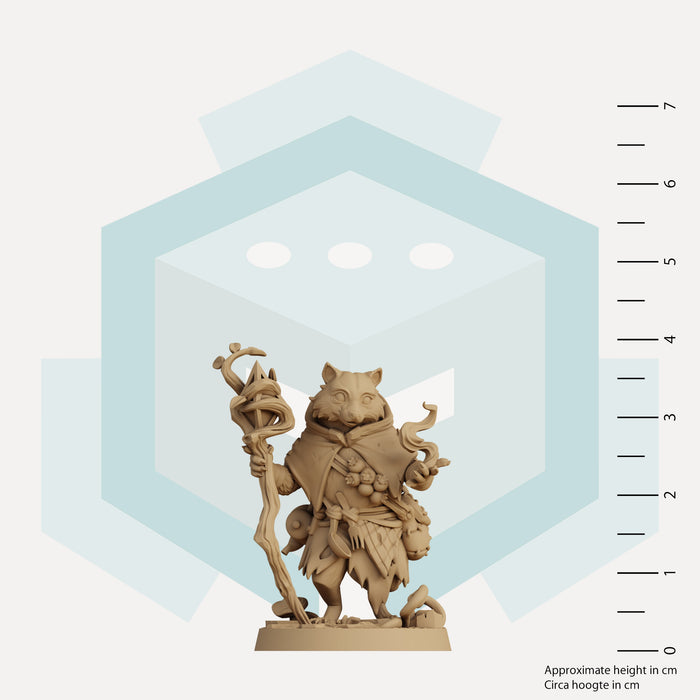 Elmwick the Raccoon Druid