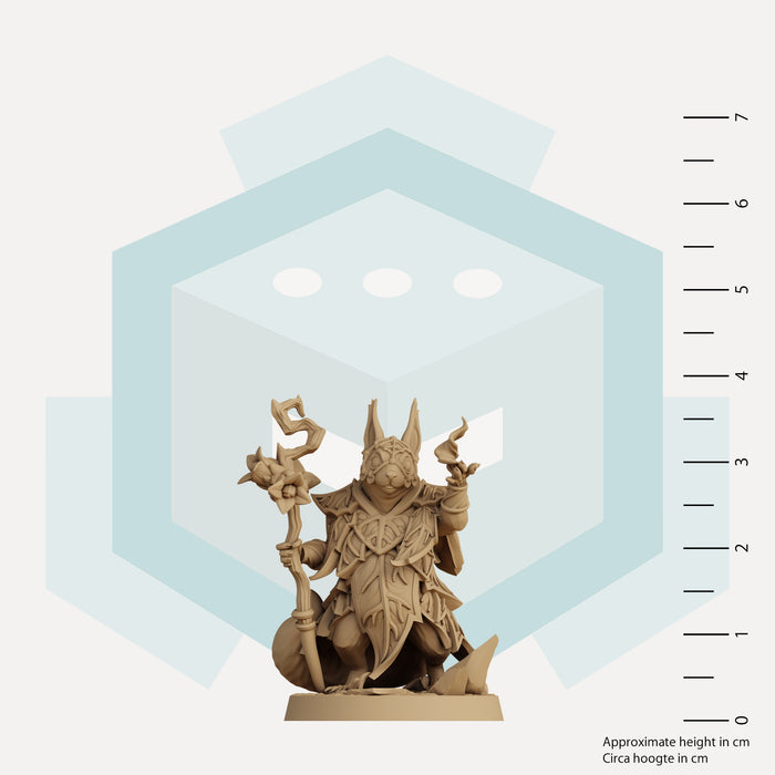 Liora the Squirrel Sorceress