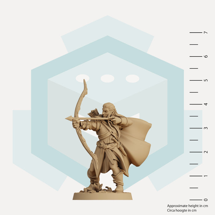 Thalion, Elven Marksman