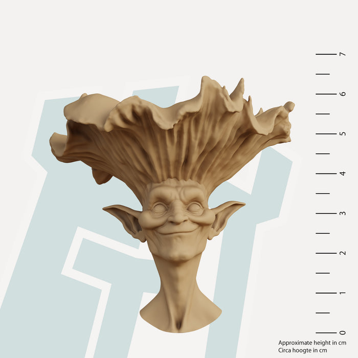 Reborellus
