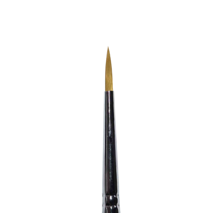 Empire of Minis x Golden Maple - Taille 1