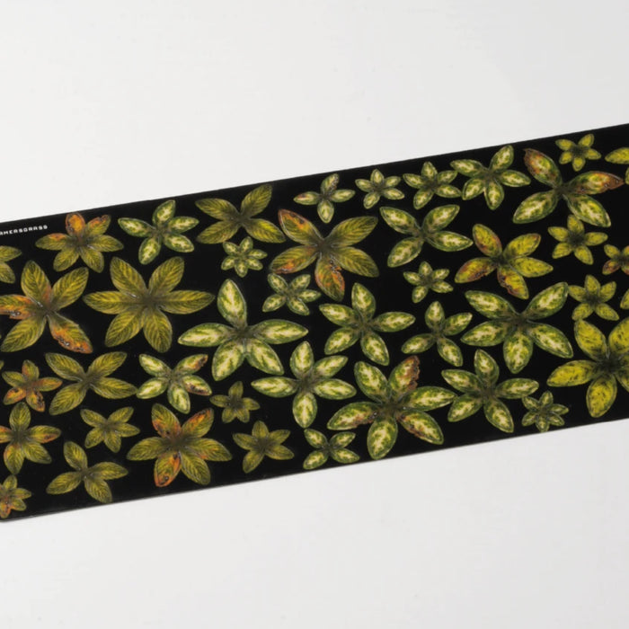 Mediterranean Temple Basing Box