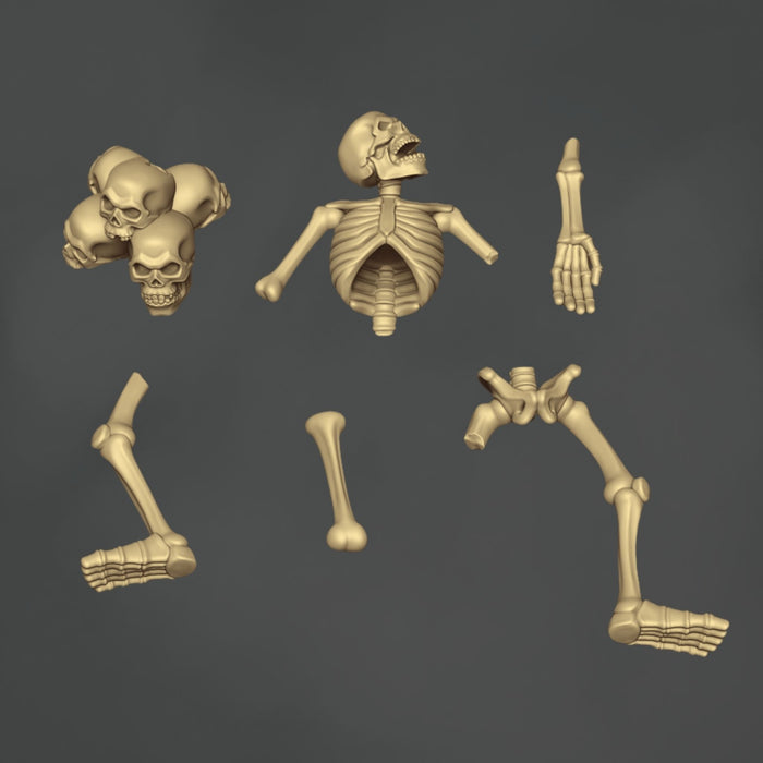 Skeletal Remains - 12x