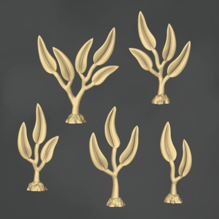 Sprouting Plants - 10x