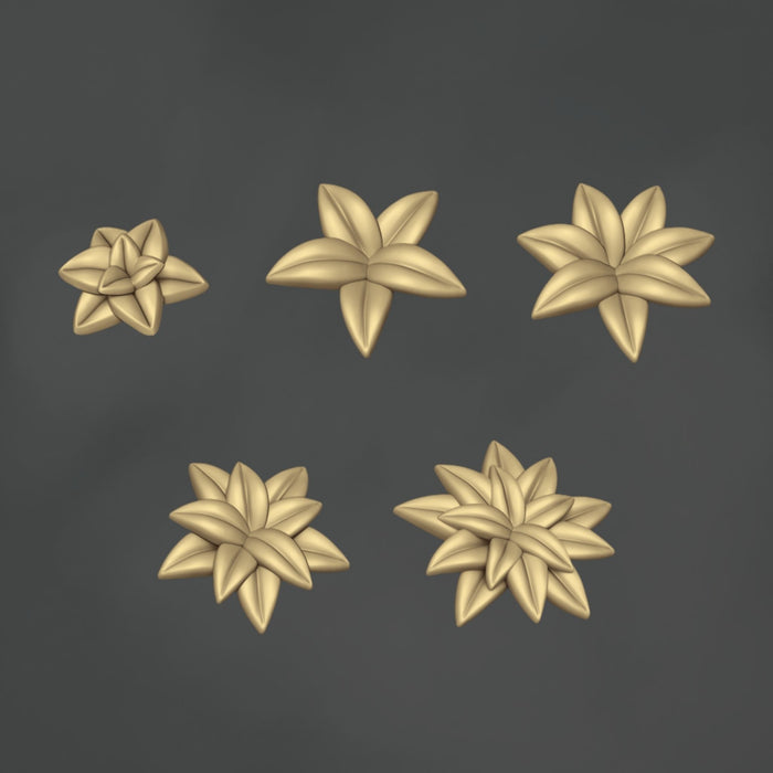 Flat Ferns - 10x