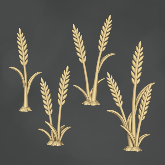 Wheat - 10x