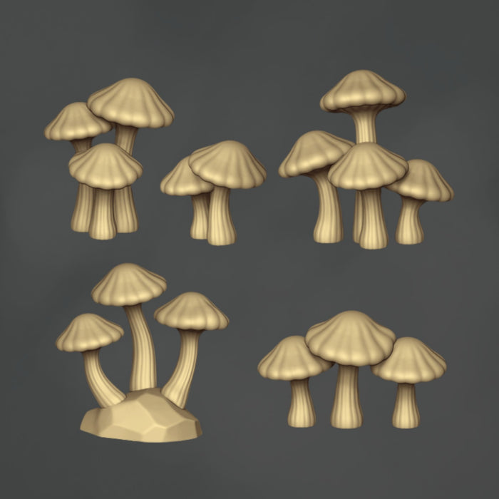 Gerippte Knopfpilze - 10x
