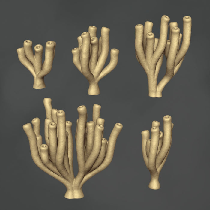 Coral - 10x