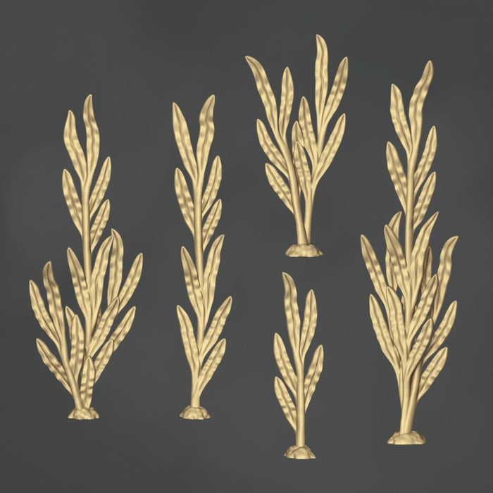 Sea Weed - 10x