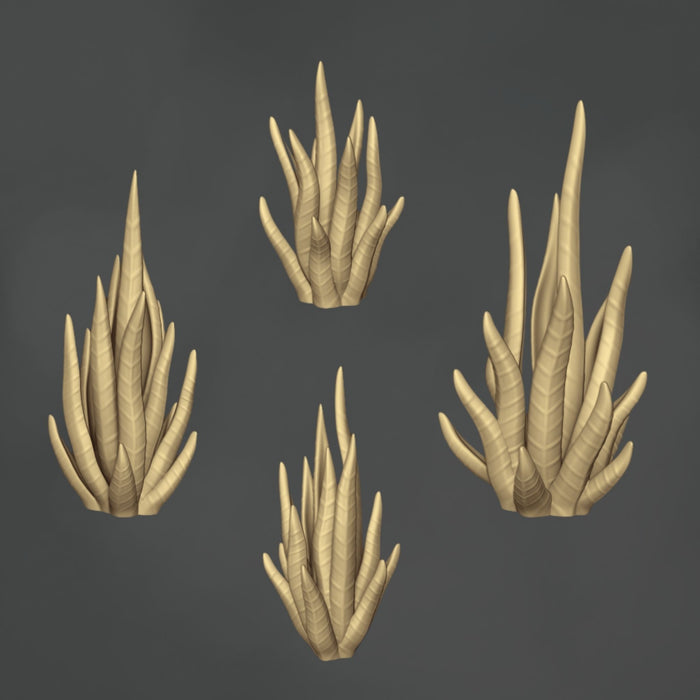 Snake Plant - 10x