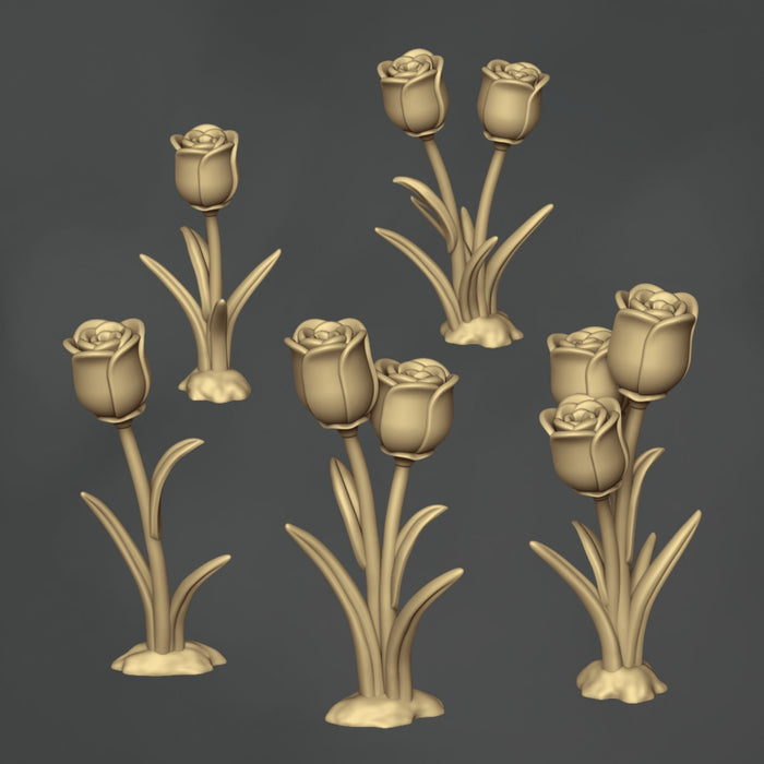 Tulips - 10x