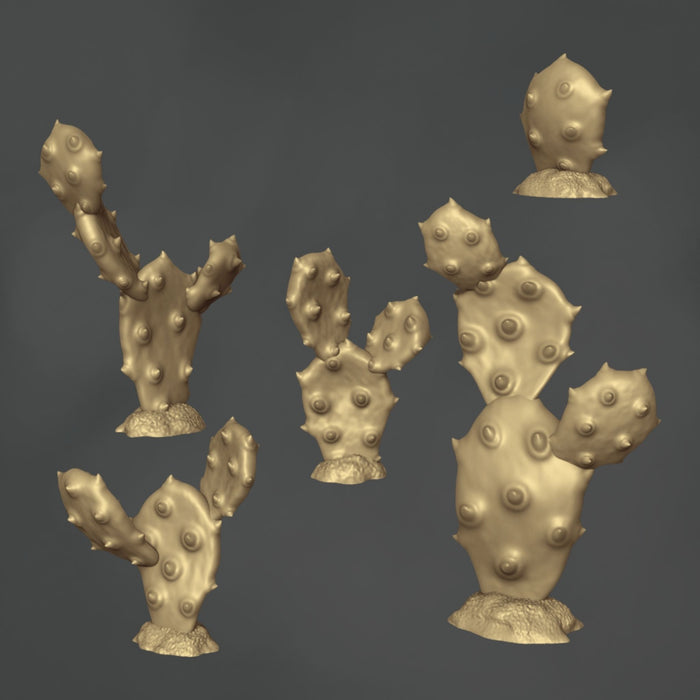 Prickly Pear Cacti - 10x