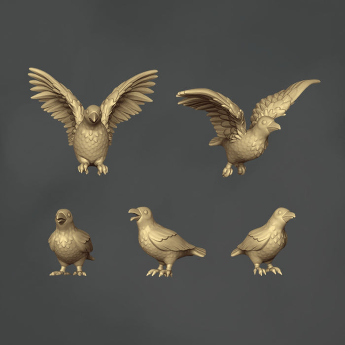 Birds - 5x