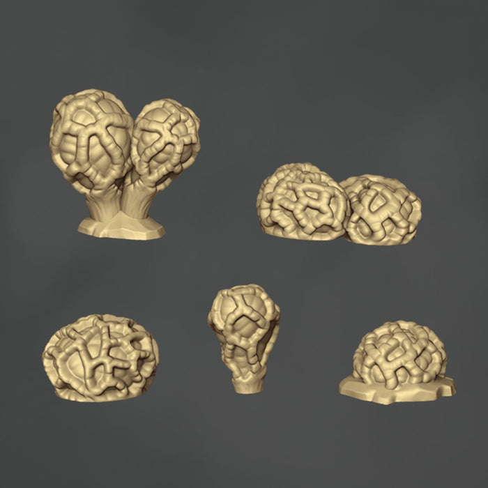 Colus Pusillus Mushrooms - 10x