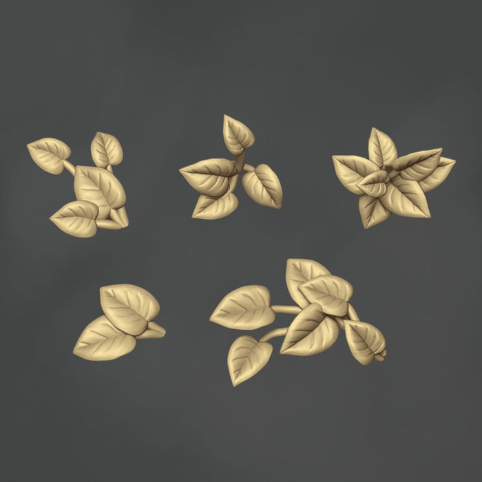 Devils Ivy - 10x