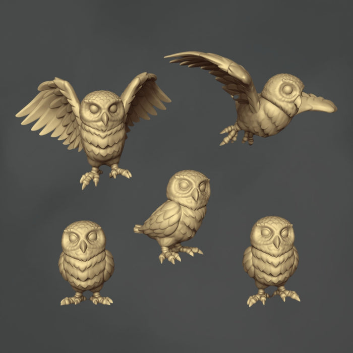 Owls - 5x