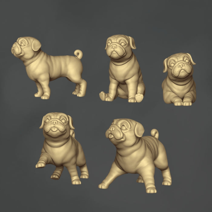 Pugs - 5x
