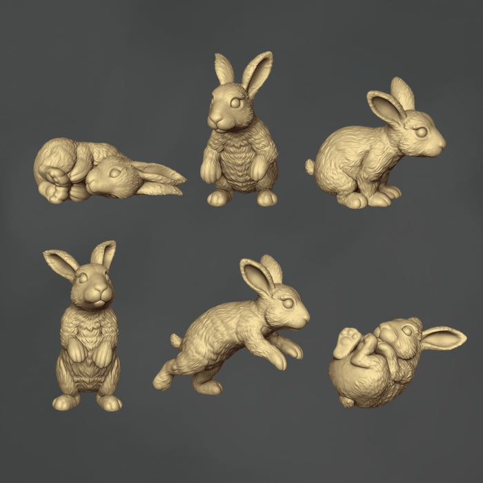 Rabbits - 6x