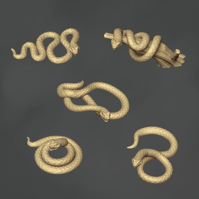 Snakes - 5x