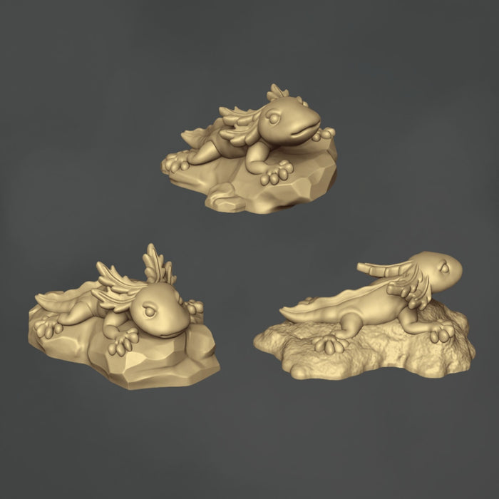 Axolotl - 3x