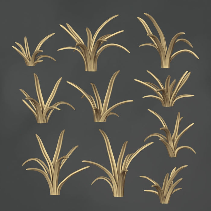 Chlorophytum Comosum - 10x