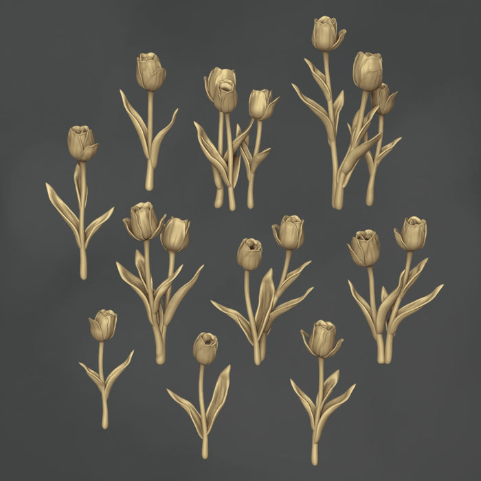 Tulipa Gesneriana - 10x