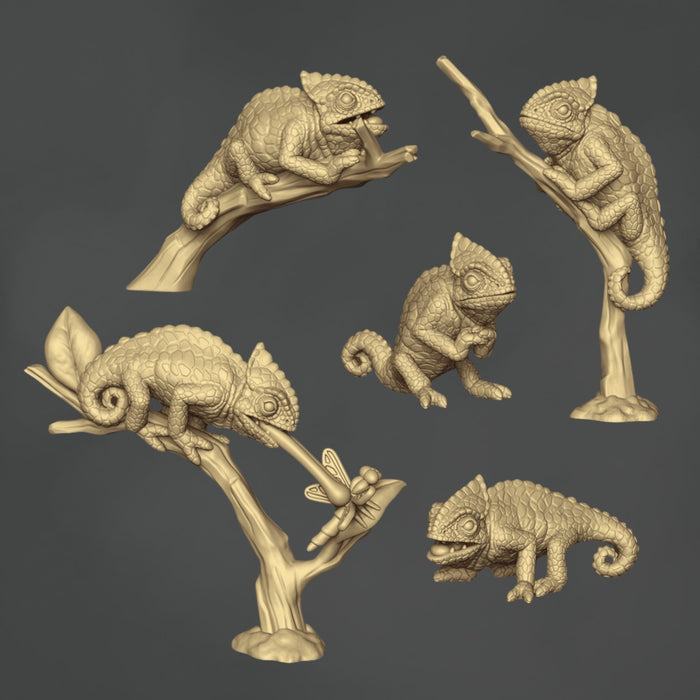 Chameleon - 5x
