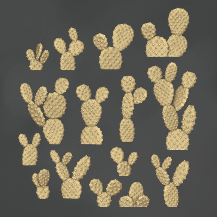 Opuntia Microdasys Cacti - 15x