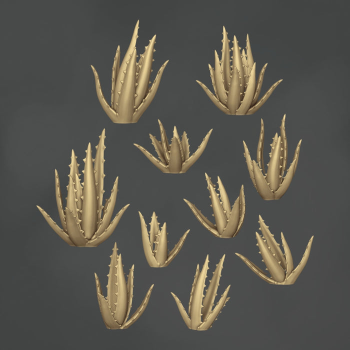Aloe Vera - 10x