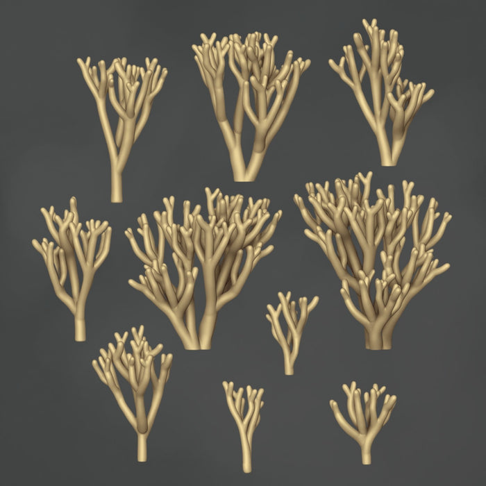 Clavaria Zollingeri Fungus - 10x
