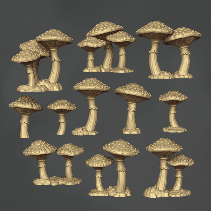 Amanita Muscaria Mushrooms - 10x