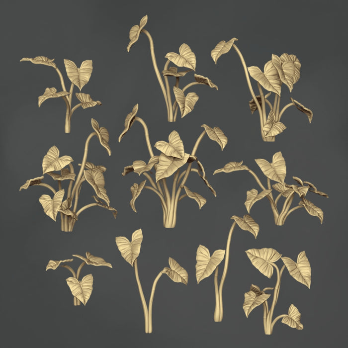 Syngonium Podophyllum - 10x
