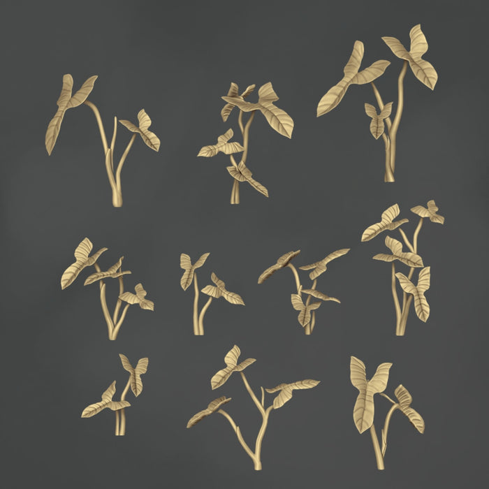 Philodendron Bipennifolium - 10x