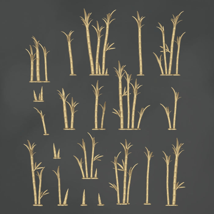 Phyllostachys Parvifolia - 20x