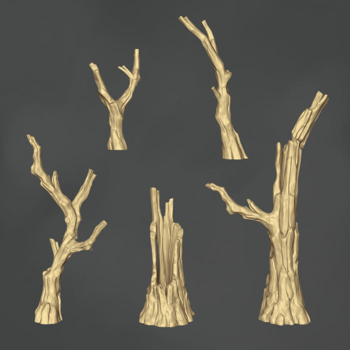 Dood Hout - 10x