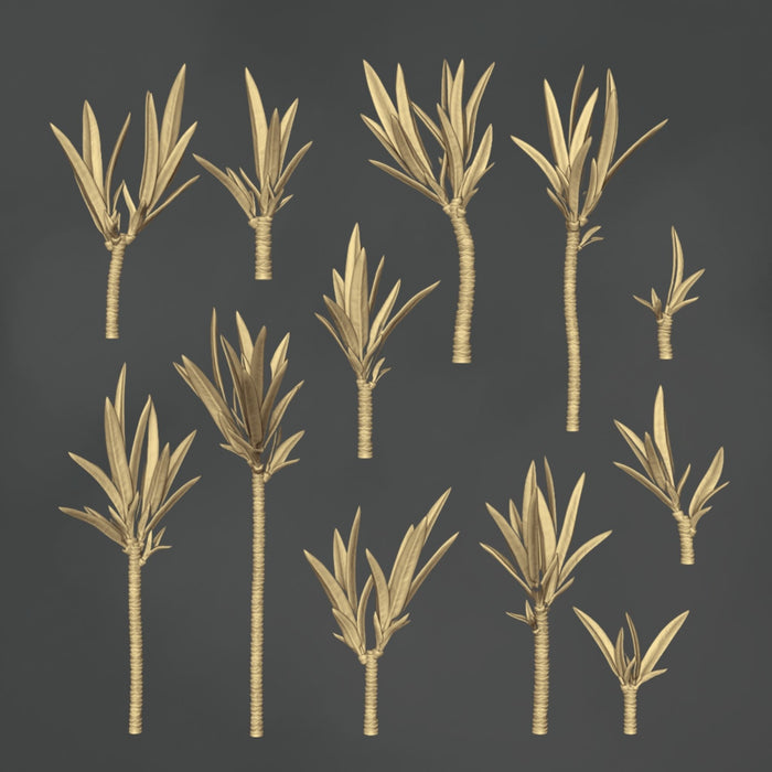Yucca - 12x