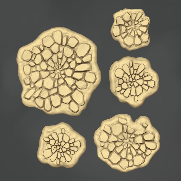 Impact Craters - 10x