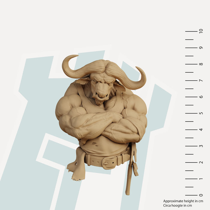 Bull