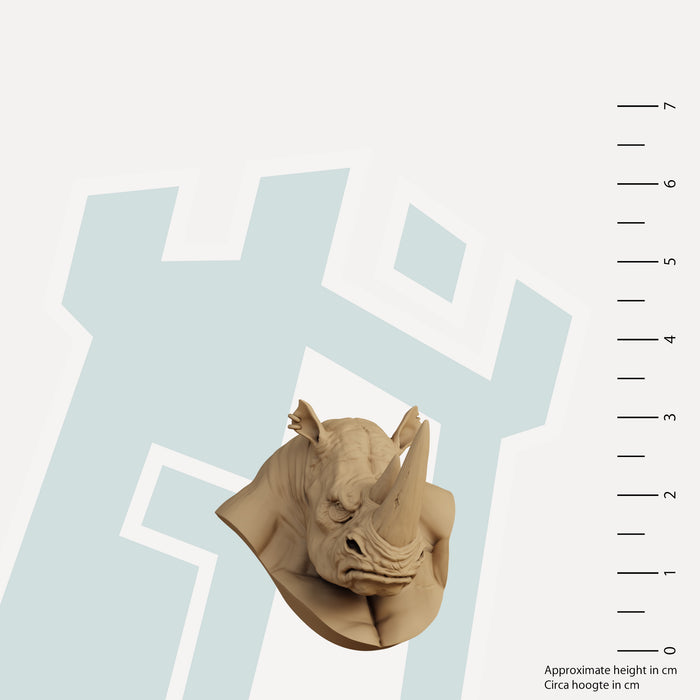 Rhino - Academic