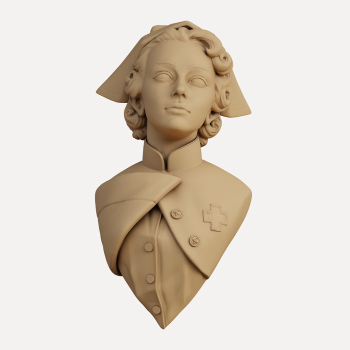 "Nurse" - Academisch